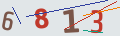 verifycode